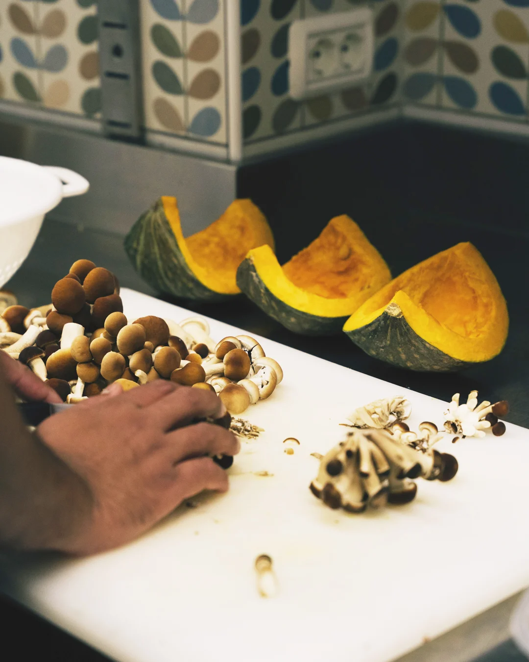 Zucca